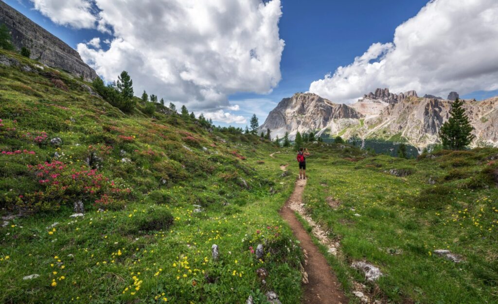 Tourist Trail